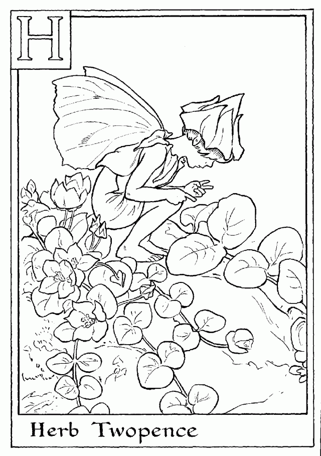 Print Letter H For Herb Twopence Flower Fairy Coloring Page