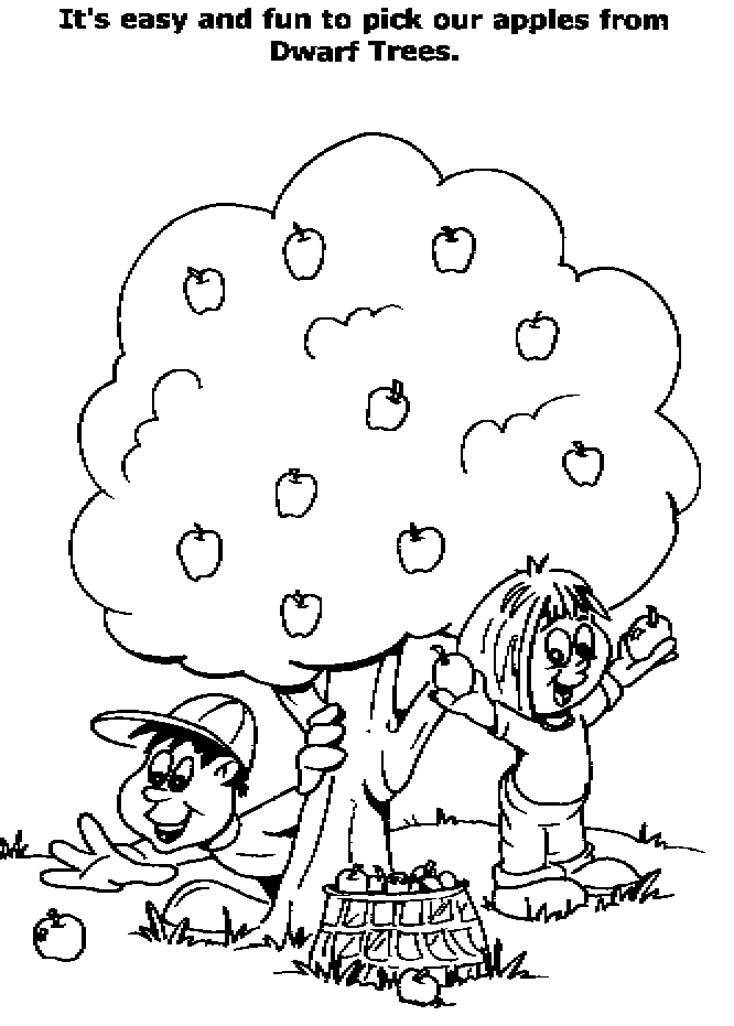 Apple Tree Coloring Page | Coloring