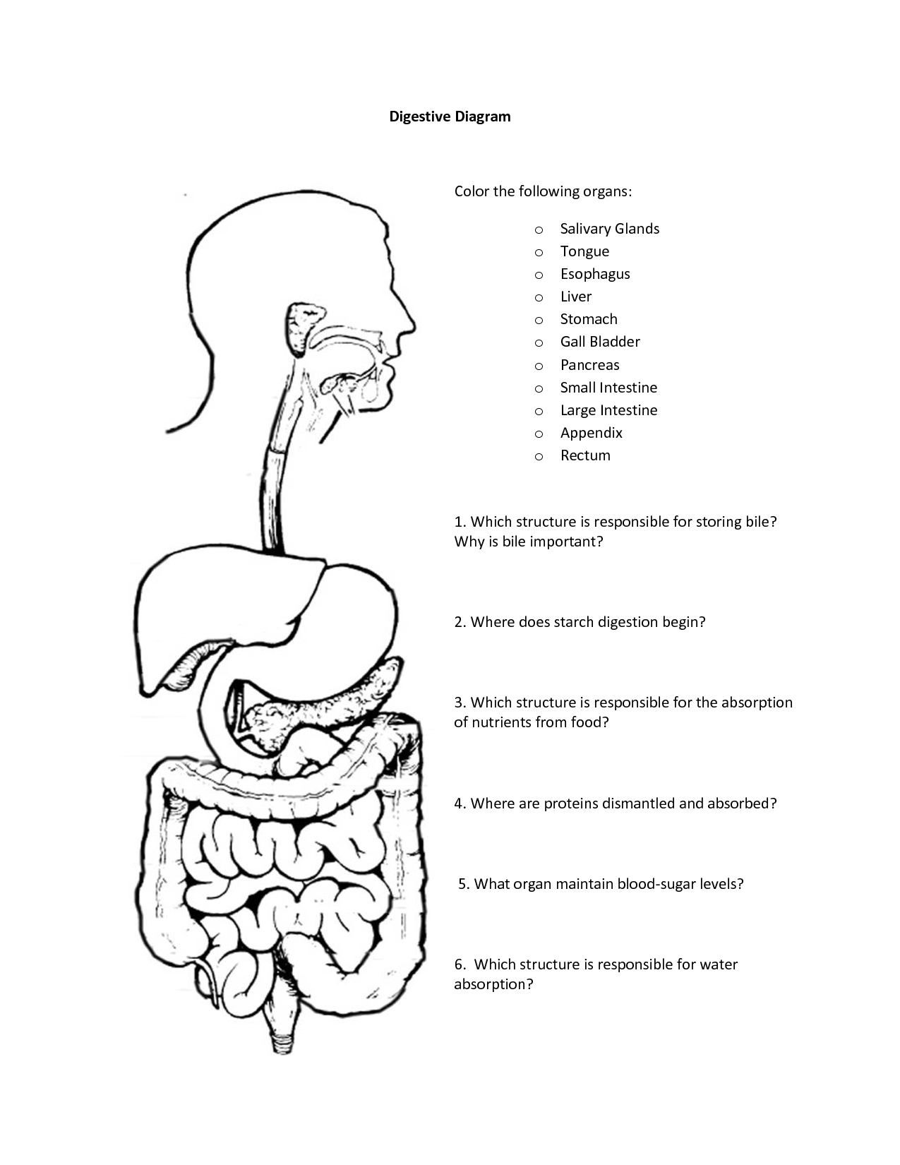 Free Coloring Pages Of Digestive System, Download Free ...