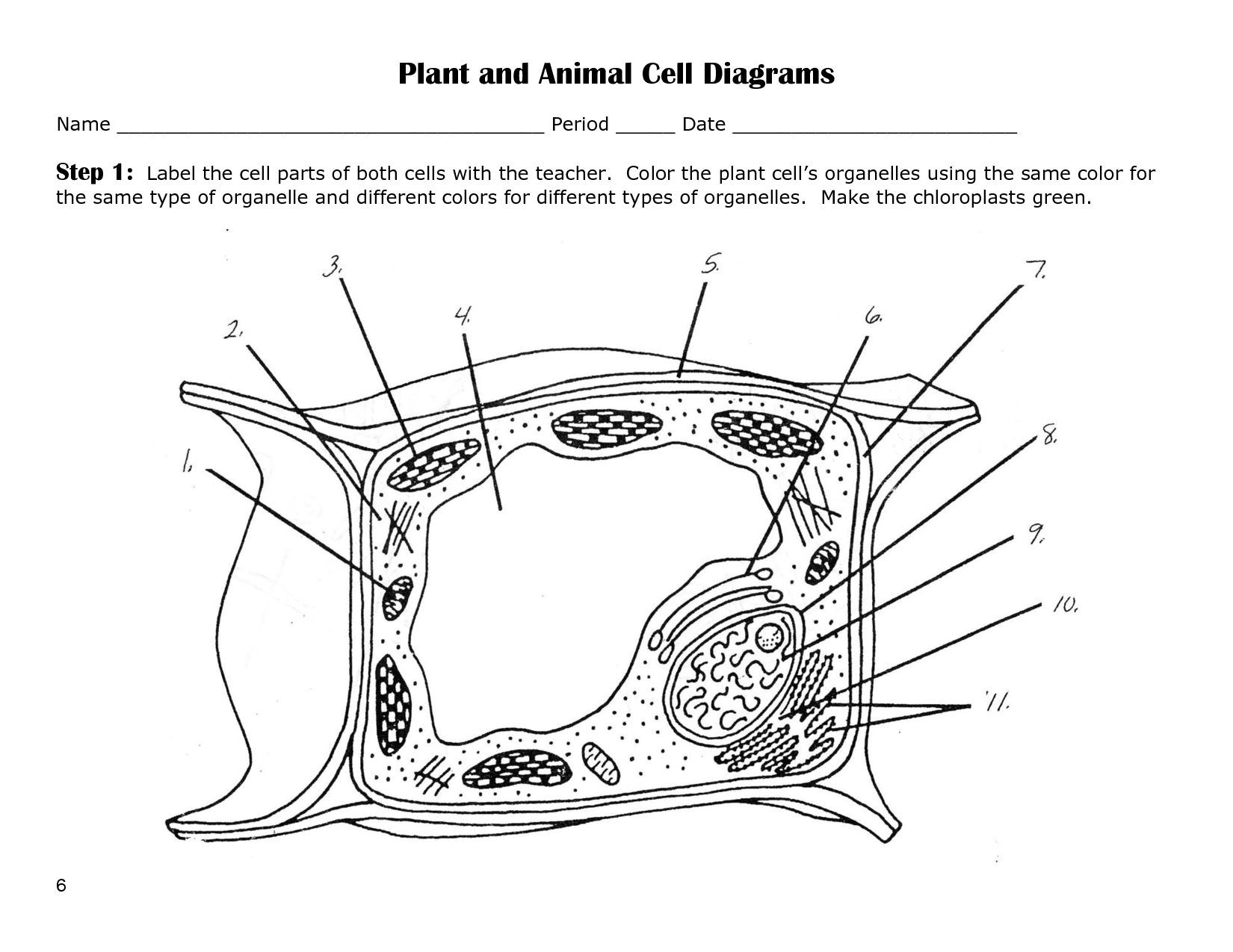 plant cell diagram with blank labels - Clip Art Library For Plant Cell Coloring Worksheet