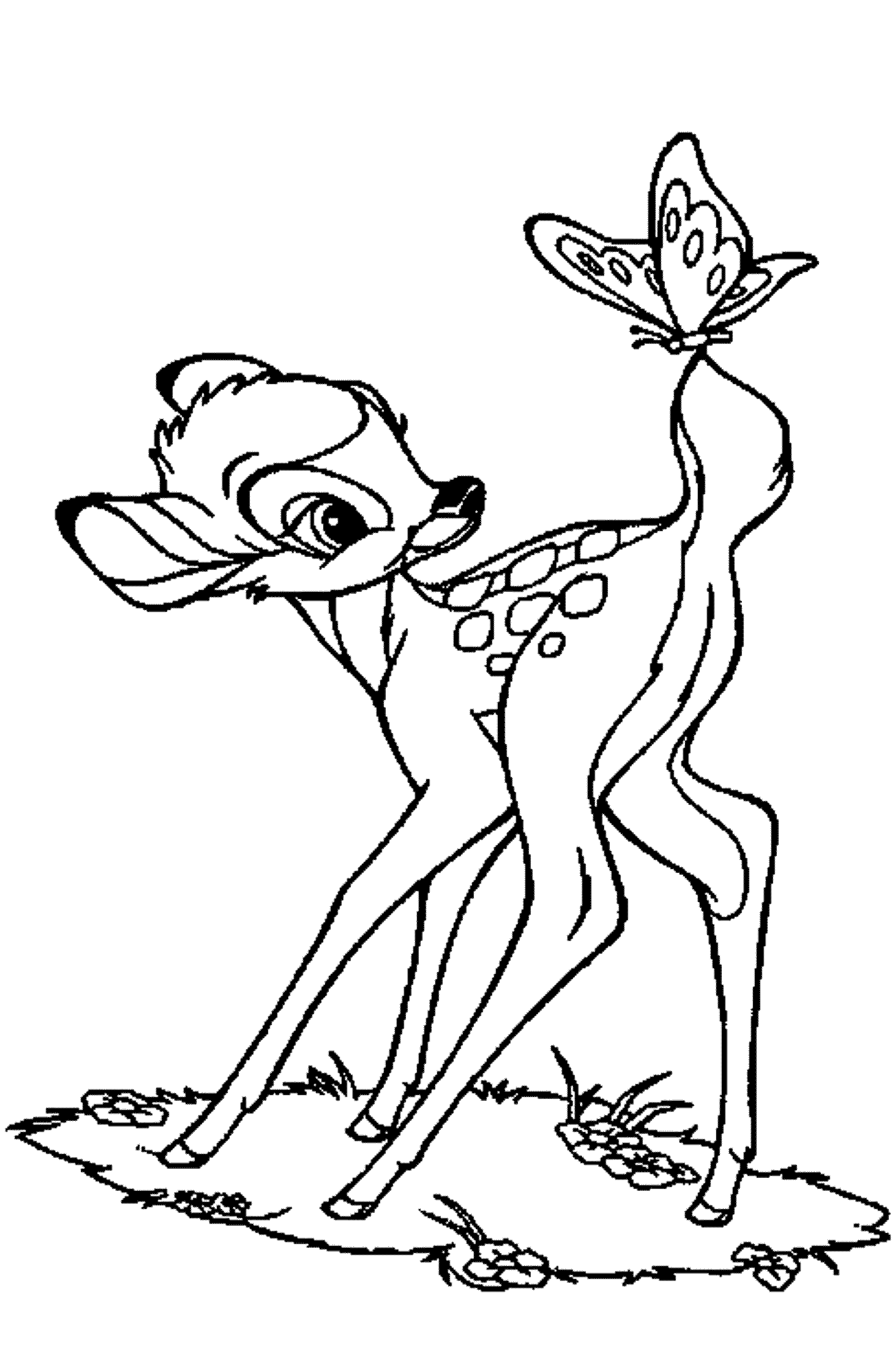 free-baby-deer-coloring-page-download-free-baby-deer-coloring-page-png