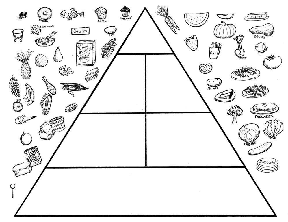 food chain printable templates