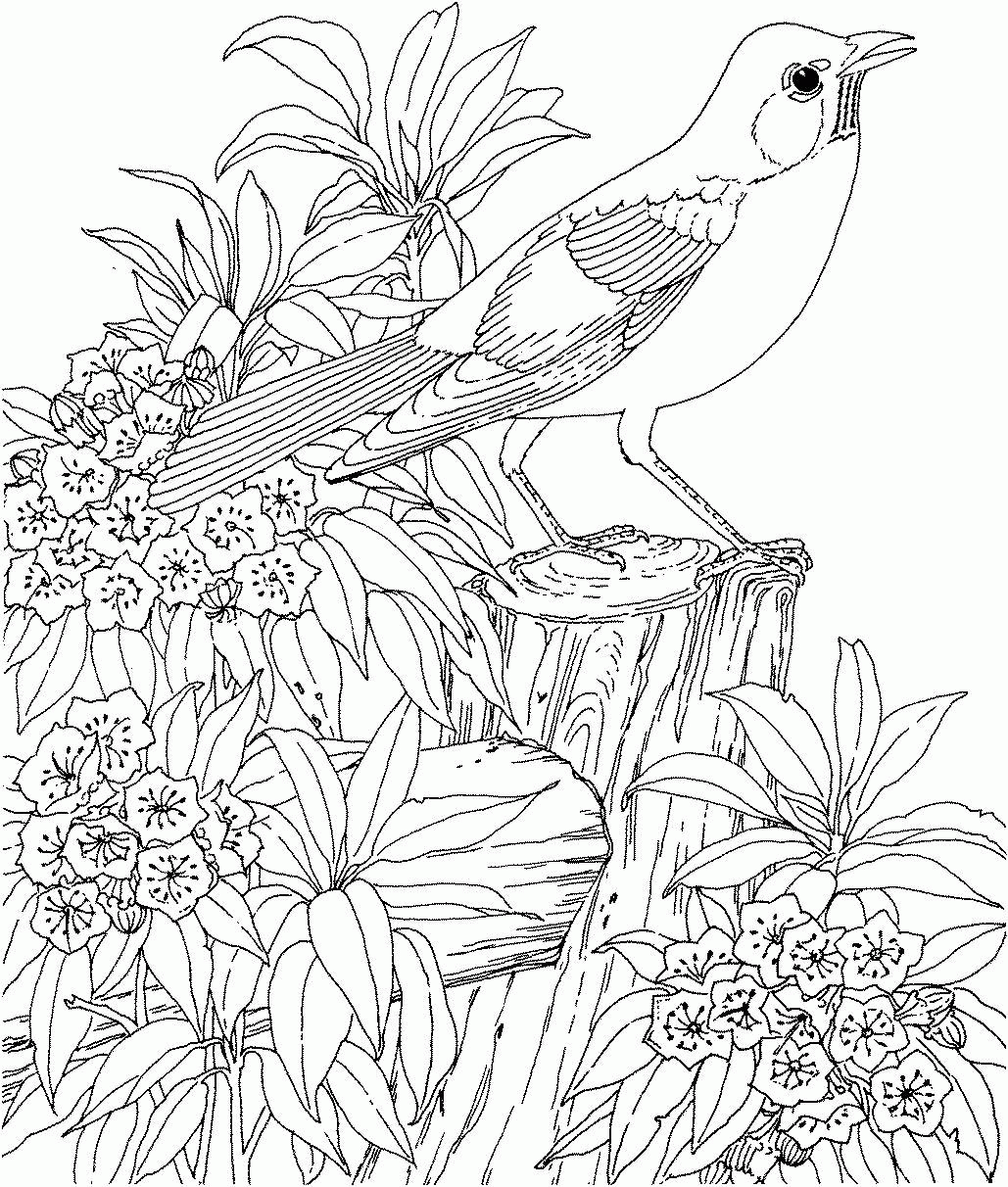 Free Adult Coloring Pages Free Spring, Download Free Adult ...