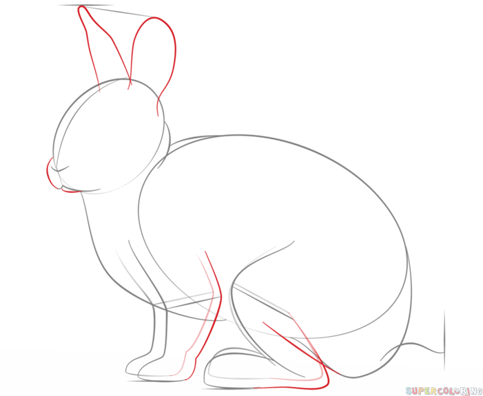 Free Rabbit Pictures To Draw, Download Free Rabbit Pictures To Draw png