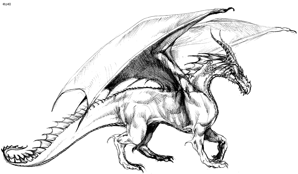 Free Realistic Dragon | Coloring Pages For Adults ...