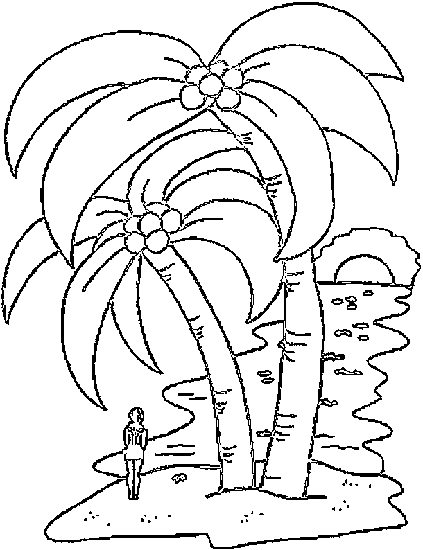 Palm Tree Coloring Sheet | Coloring Pages for Kids and for Adults