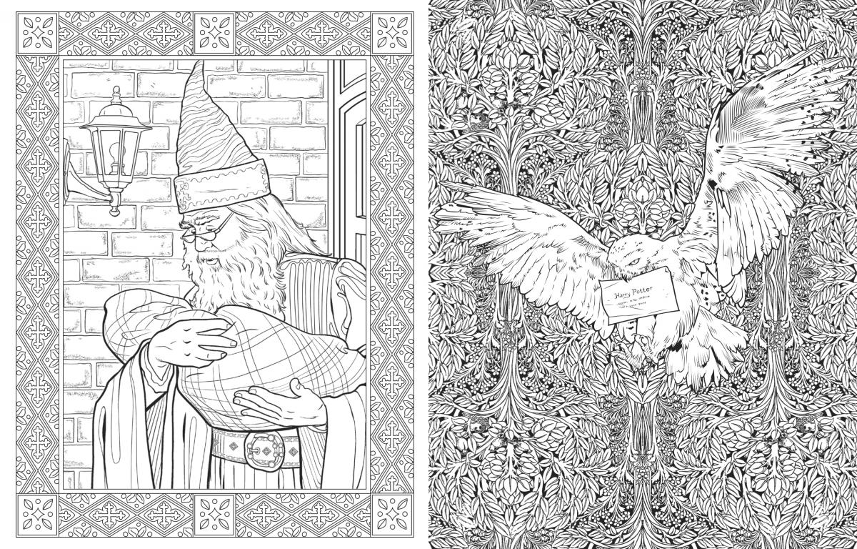 Free Harry Potter Adult Coloring Pages Download Free Harry Potter Adult Coloring Pages Png 