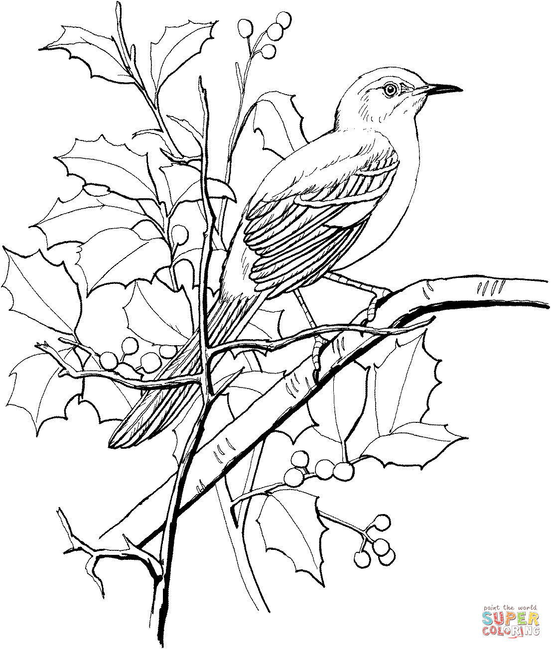 Arkansas Mockingbird and Apple Blossom coloring page | Free