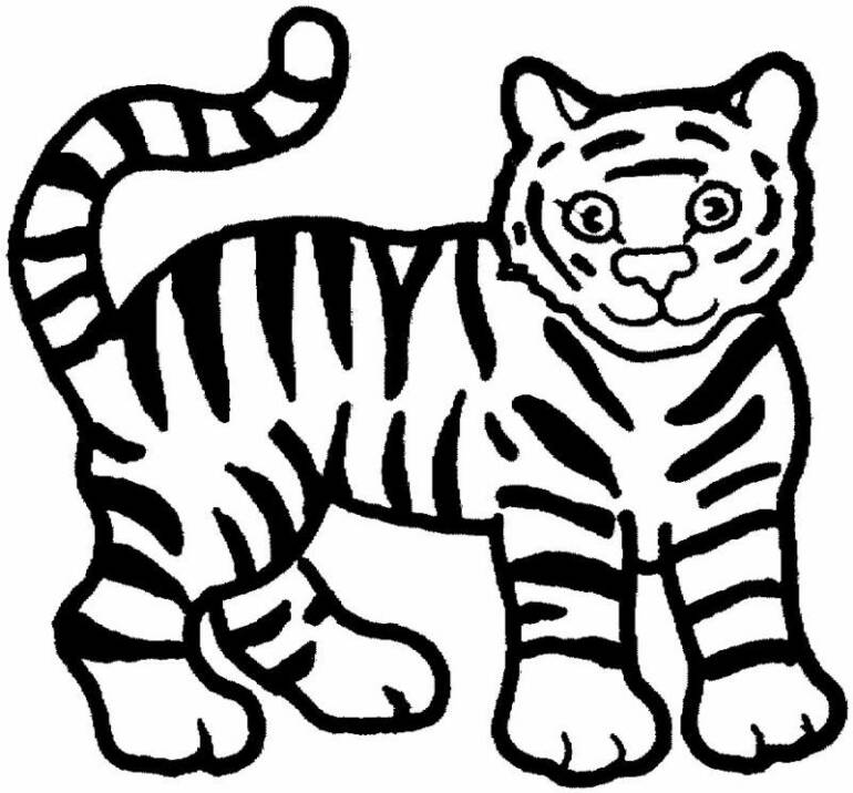 coloring pages baby tiger