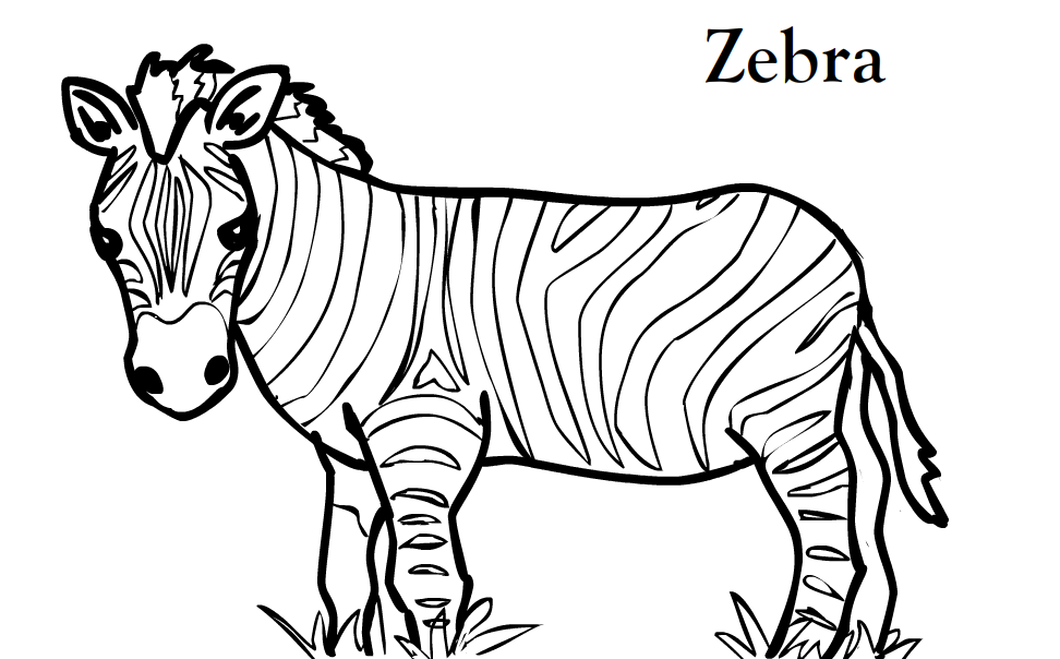 zebra coloring pages | Printable Coloring Sheet  Coloring