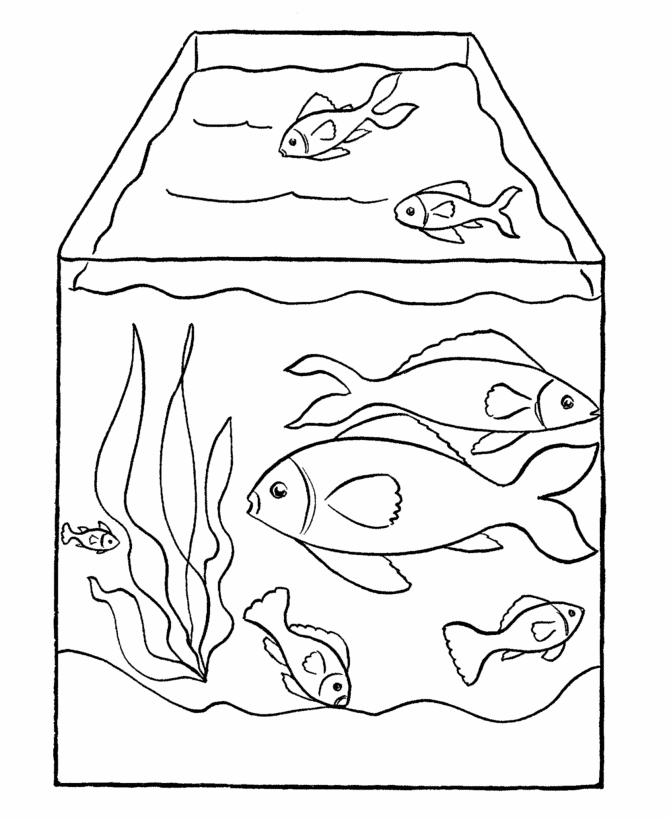 Featured image of post Empty Fish Tank Coloring Page Some of the coloring page names are big eyed fish in fish tank coloring netart coloring fish tank coloring kids colouring fish coloring for coloring fish coloring fish tank fish tank science fish tanks fish bowl clipart on clipartmag outline aquarium coloring template 1 fish bowl here a setup