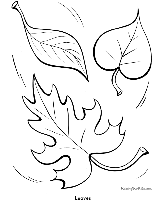 Coloring Page 3: Leaves