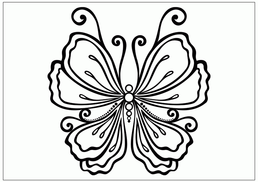 beautiful-butterfly-drawing