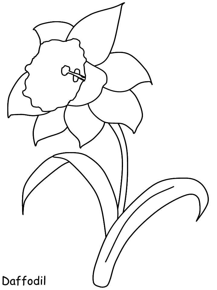 Easy Drawings For Spring | Free coloring pages
