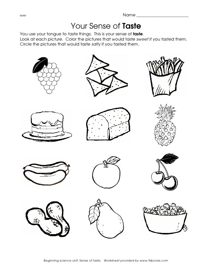 Intellect The Five Senses Coloring Sheets  The Five