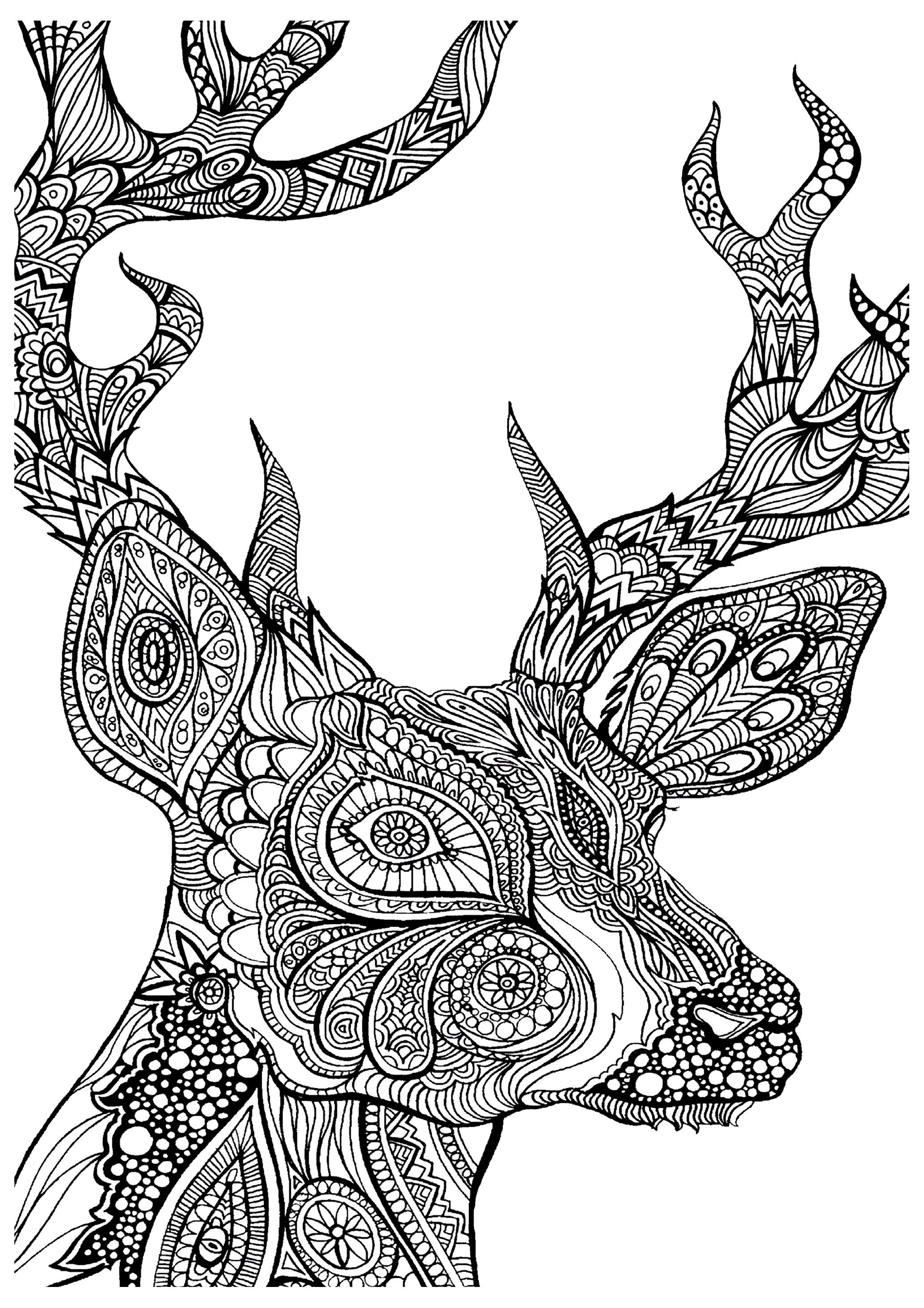 animal coloring pages for adults - Clip Art Library