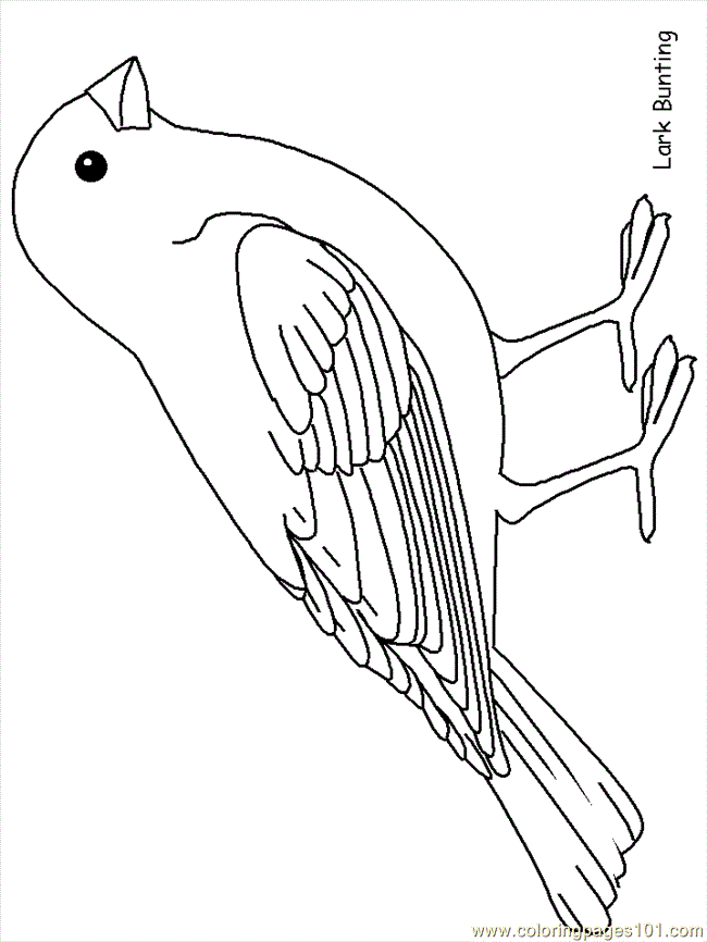 Coloring Pages Printable Birds / Folk Art Birds Coloring Pages Printable Coloring Book Of Detailed Birds Drawn In A Folk Style Art Is Fun
