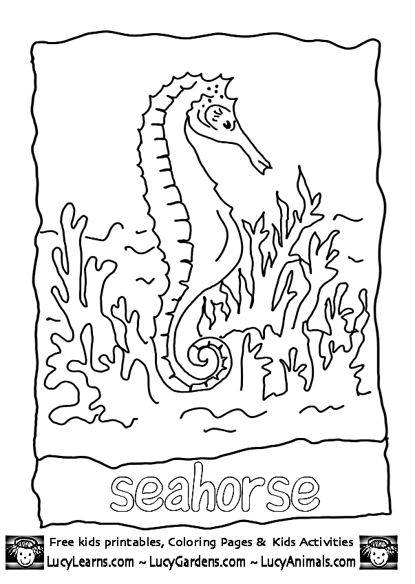 Seahorse Coloring Page,Lucy Learns Free Seahorse Coloring Sheet