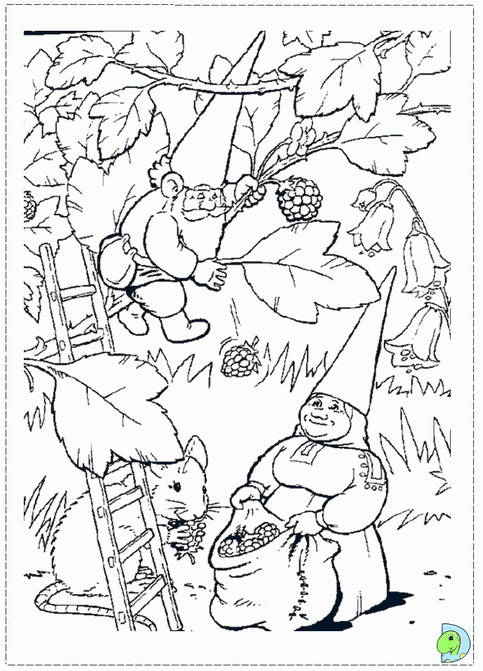 View Gnome Coloring Page Pics