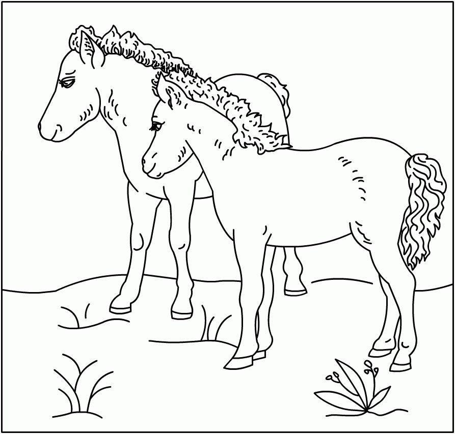 Horse Coloring Pages Online | Printable Coloring Pages