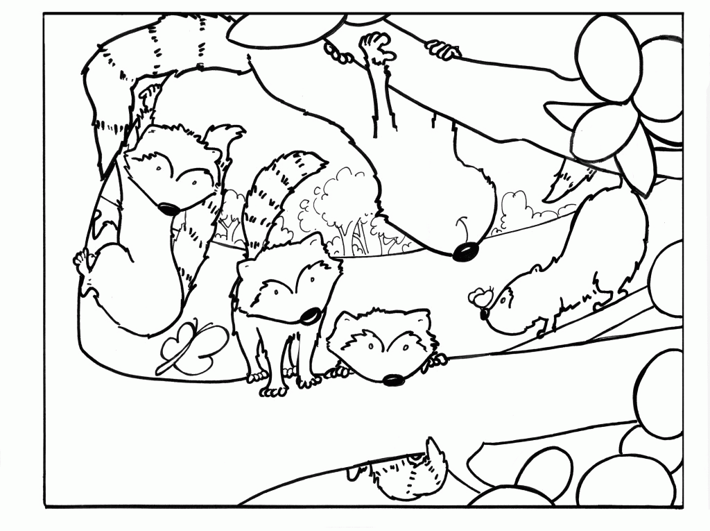 Raccoon Coloring Page - Free