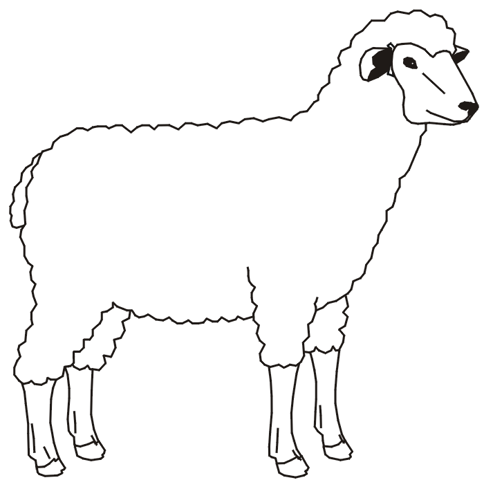 Sheep| Coloring Pages for Kids | Kids Cute Coloring Pages