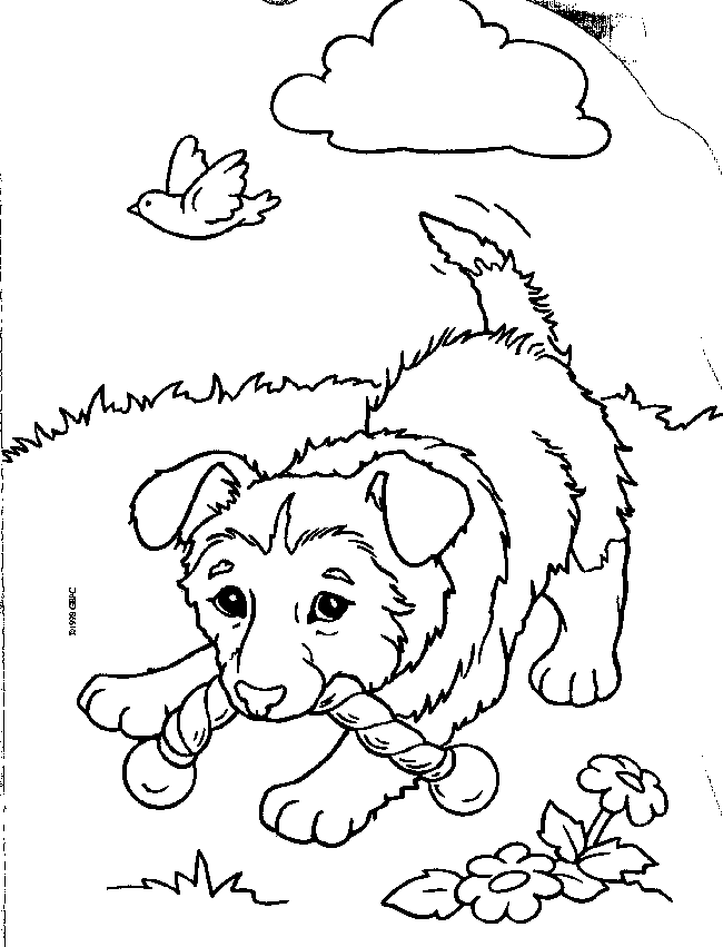 Bone Puppy Biting Time For Coloring Pages Picture