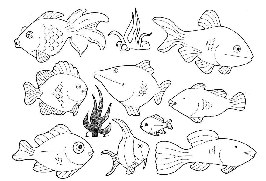 amazon river fish coloring pages