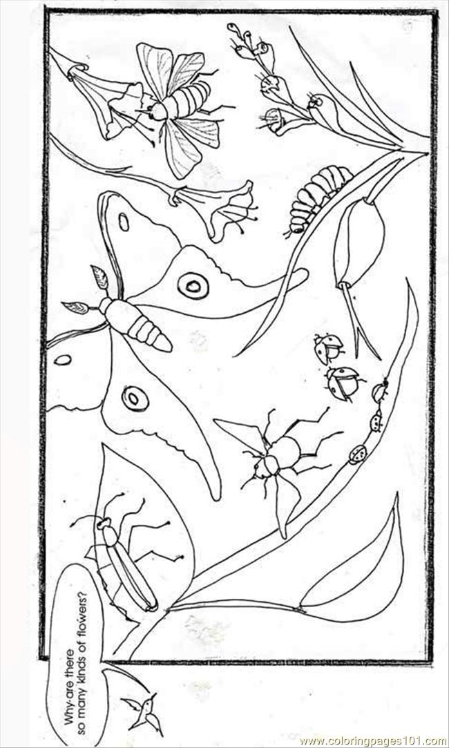 Coloring Pages Biodiv Color 2 (Animals  Insects) | free printable