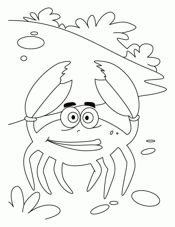 crackling crab coloring pages | Download Free crackling crab