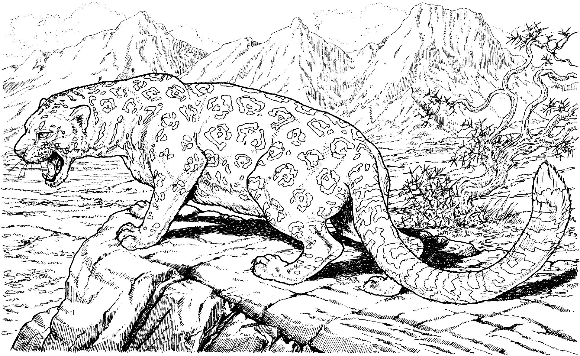 Coloring Pages Hard Animals | High Quality Coloring Pages