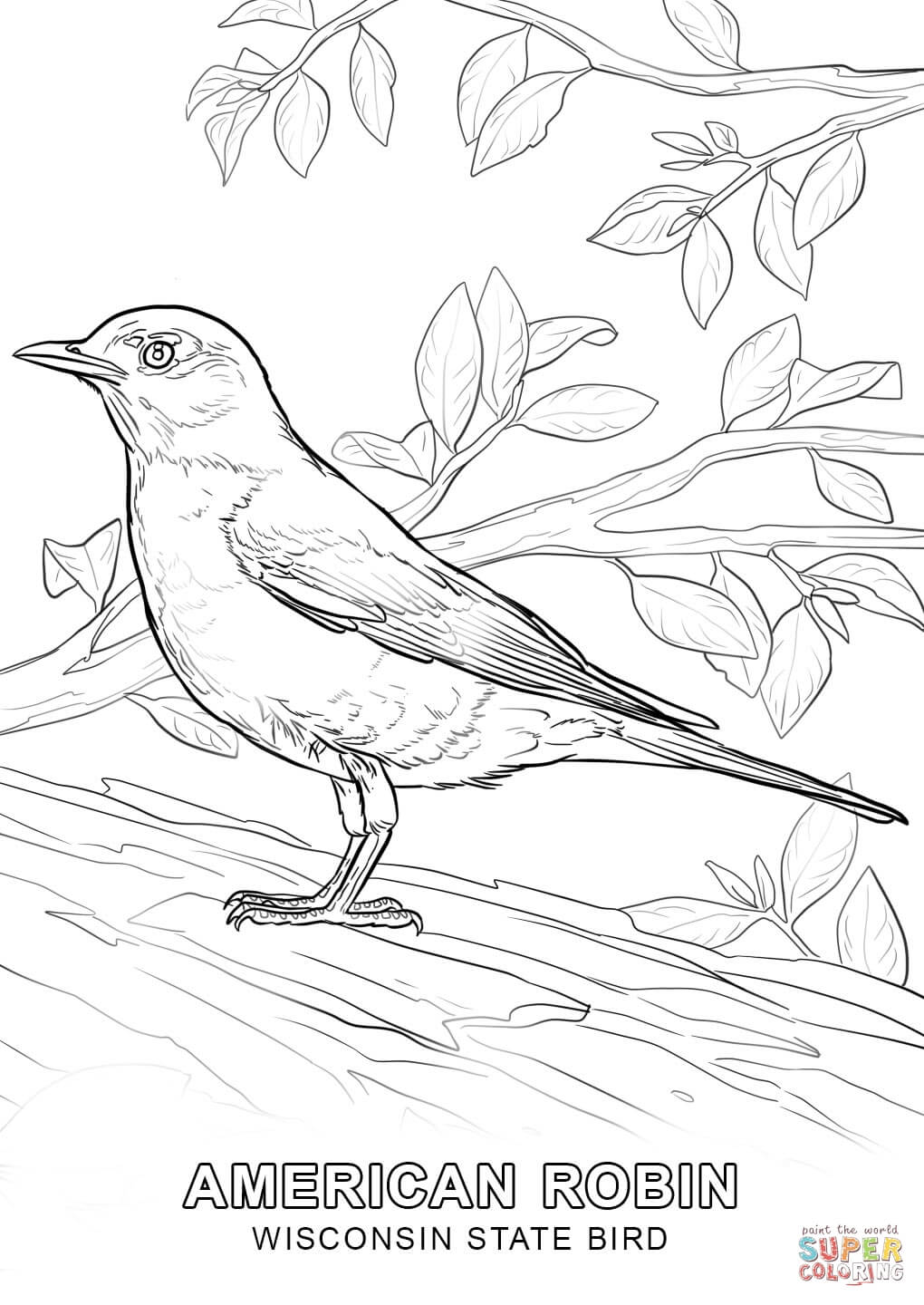 Coloring Page Of Alabama State Bird 