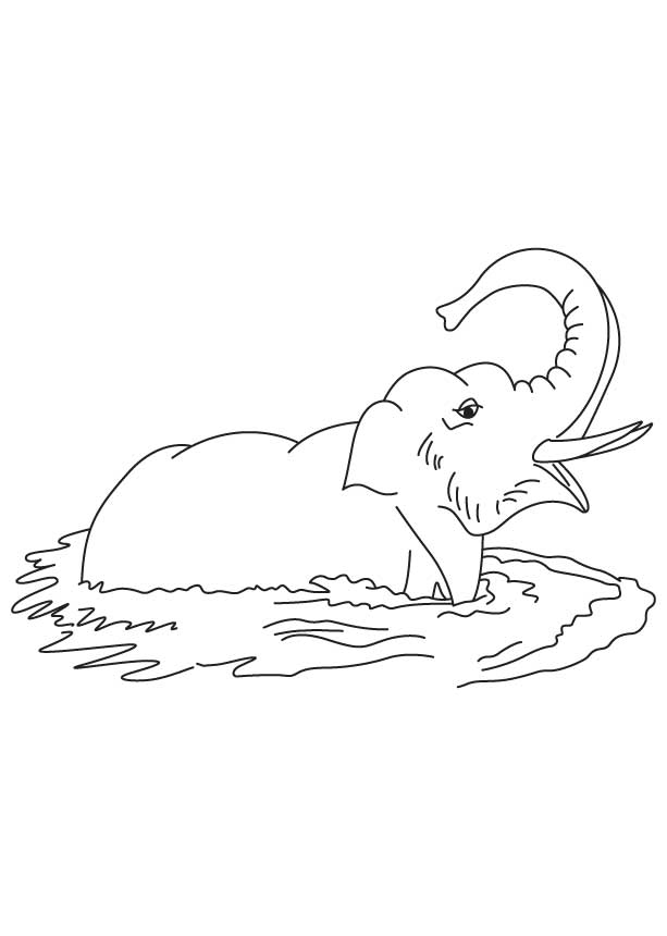 Free Free Coloring Pages Elephant Seal, Download Free Free Coloring