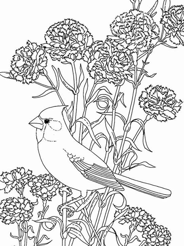 Bird Among Beautiful Flowers Coloring Page: Bird Among Beautiful