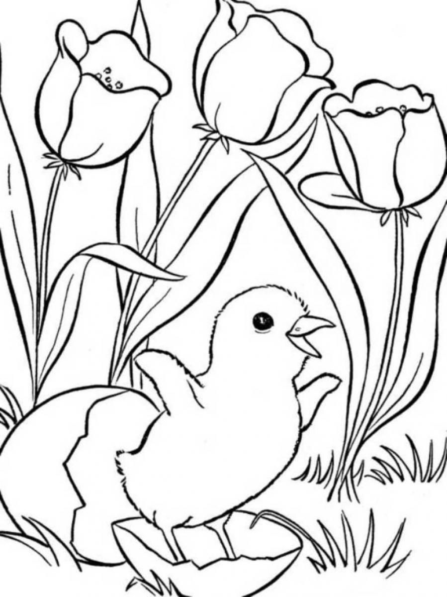 free-spring-landscape-coloring-pages-download-free-spring-landscape