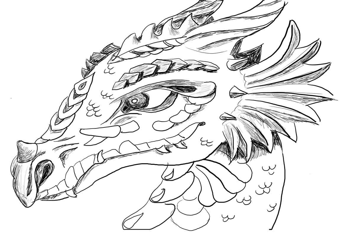 dragon coloring pages   Clip Art Library