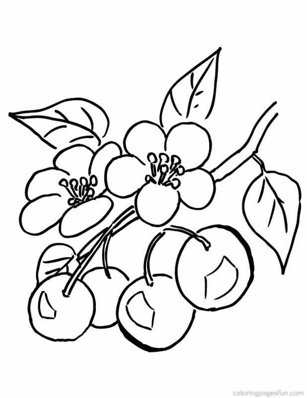 Free Cherry Blossom Coloring Page, Download Free Cherry Blossom