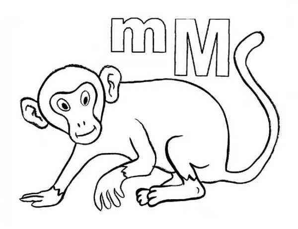 m coloring sheet cute monkey letter m coloring pages free