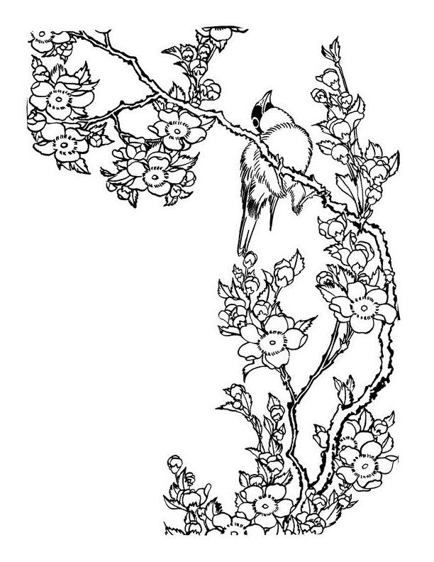  Japanese Art Coloring Pages - Japanese Cherry Blossom