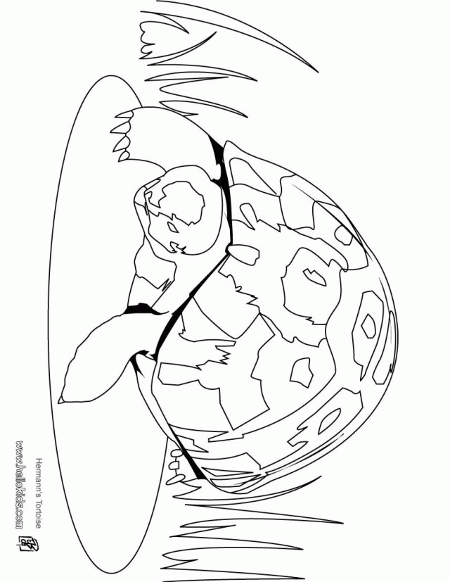 H2o Coloring Games Galapagos Tortoise Colouring Pages Kids