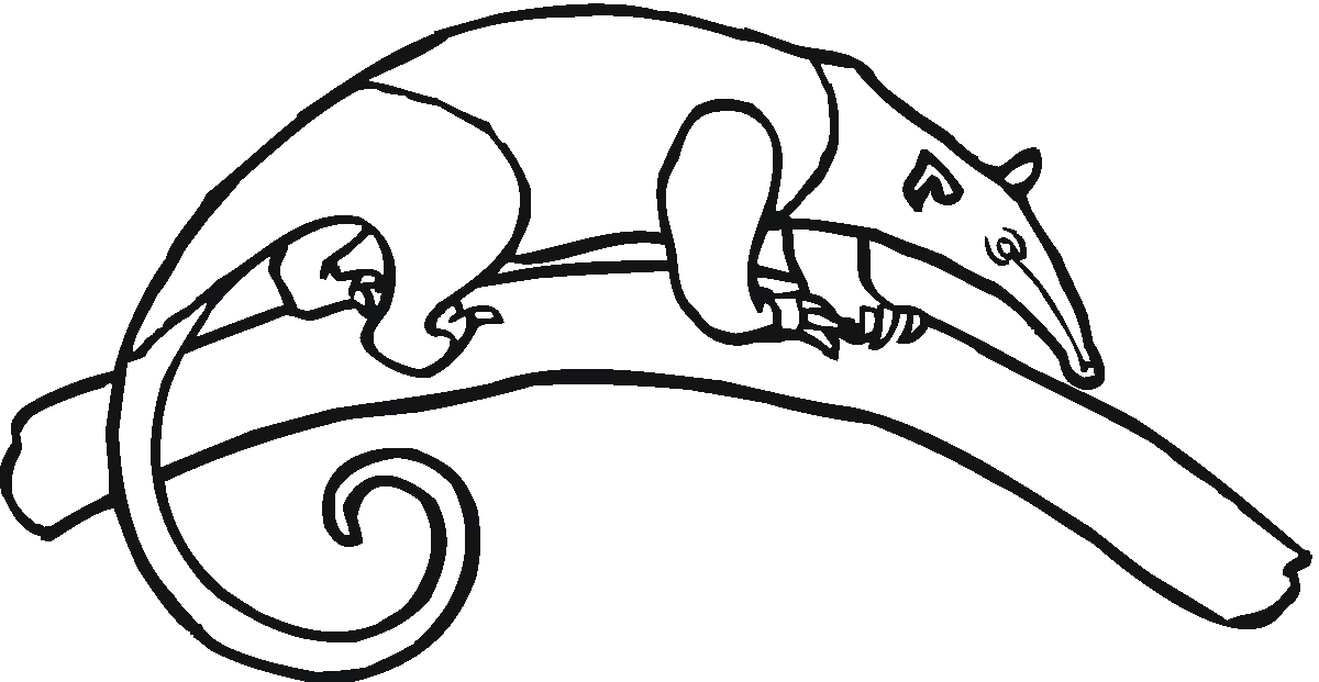 Free AnteaterColoring Pages