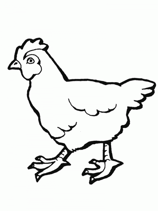 Simple Printable Chicken Animal Coloring Page For Free