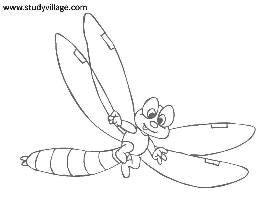 Insect | Coloring Pages - Free