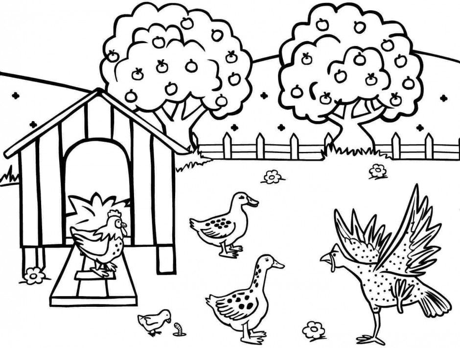 Wiggles Color Pages Coloring Pages Pictures 