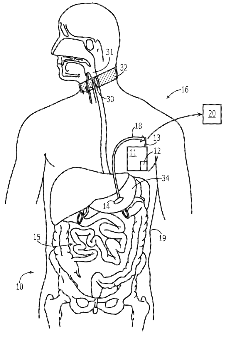 Digestive System Coloring Page Digestive System Coloring Page In