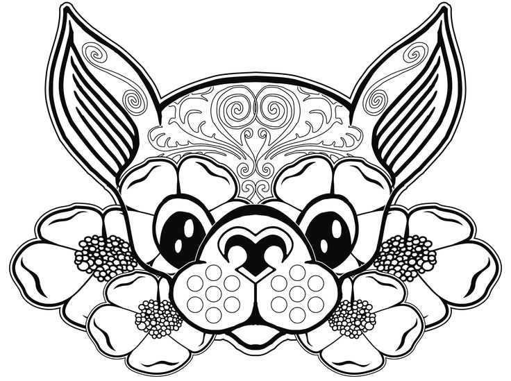chihuahua-dog-coloring-page-clip-art-library