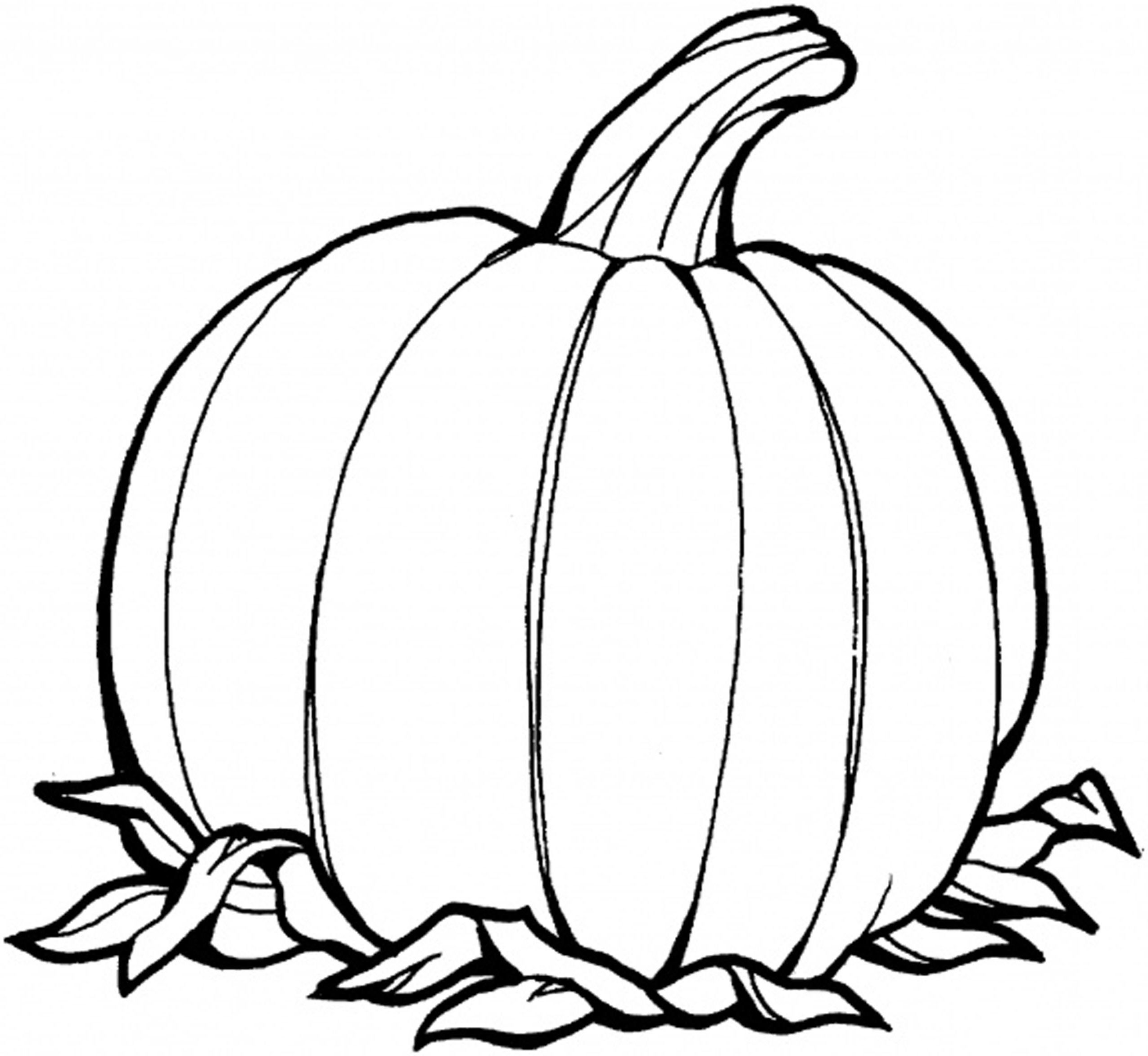  Pumpkin Coloring Pages Templates - Blank Pumpkin