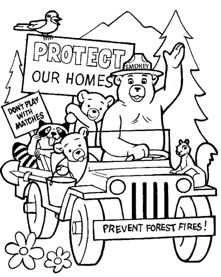 Coloring Page Smokey the Bear | fire prevention info