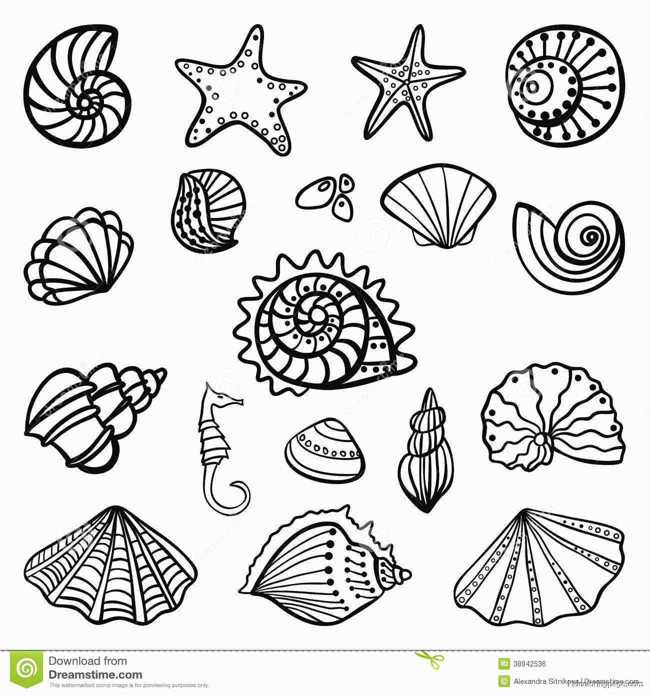 printable-seashell-pictures-pic-gubbins