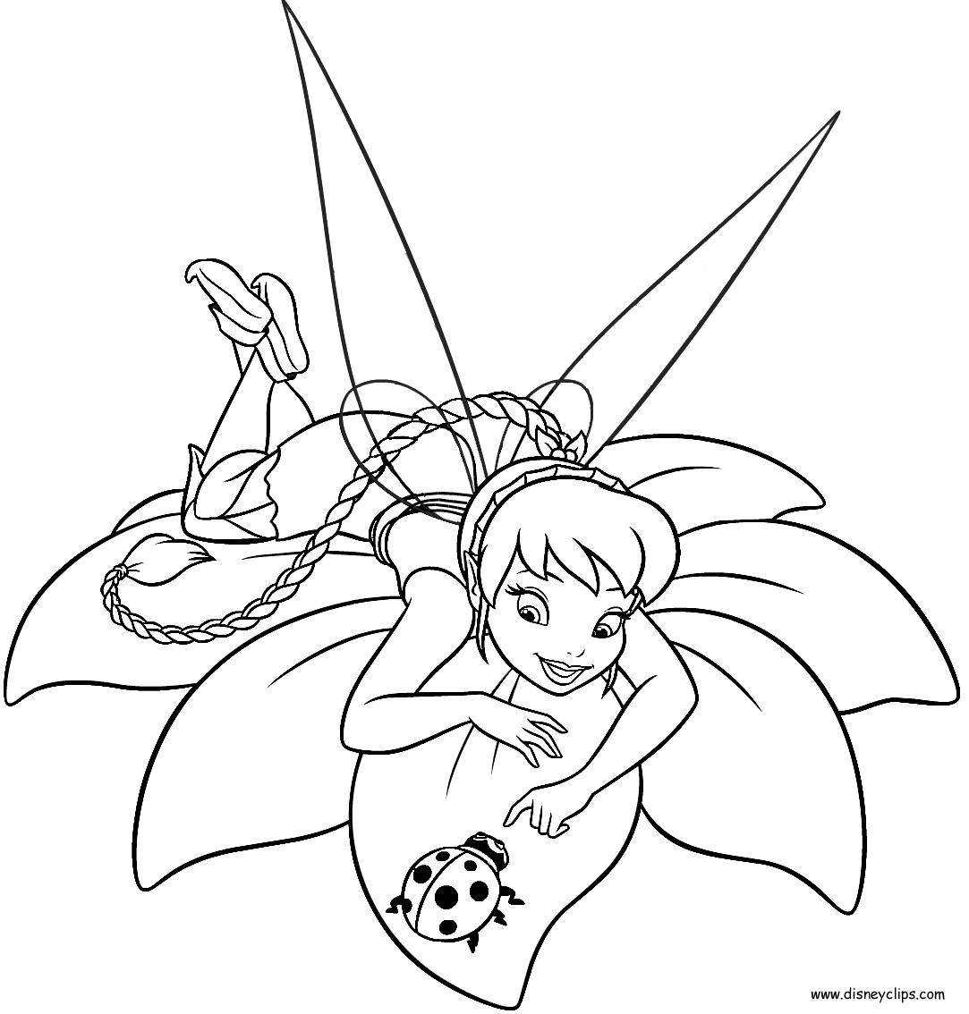 fawn tinkerbell coloring pages   Clip Art Library
